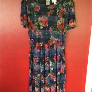 Light and springy LuLaRoe Amelia